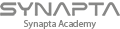 Synapta Academy